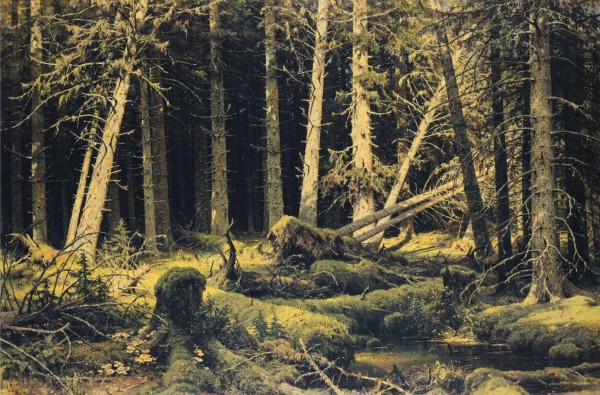 Wind Fallen Trees by Ivan Shishkin